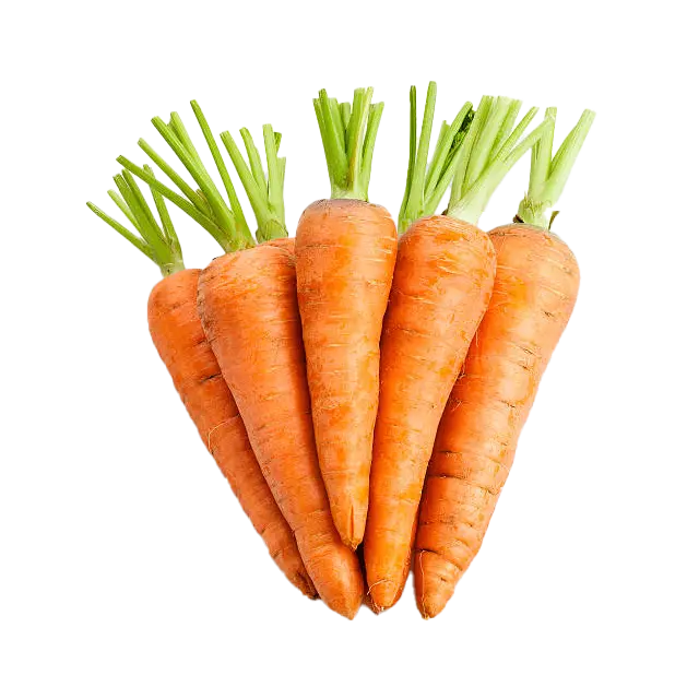 Vitamin A.webp__PID:e617798e-9dd1-4183-acc3-a153fe498bbc
