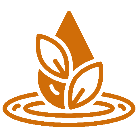 1. Clean & Potent (1).webp__PID:d4b7f8b6-1ad1-40cc-945a-34824071f871